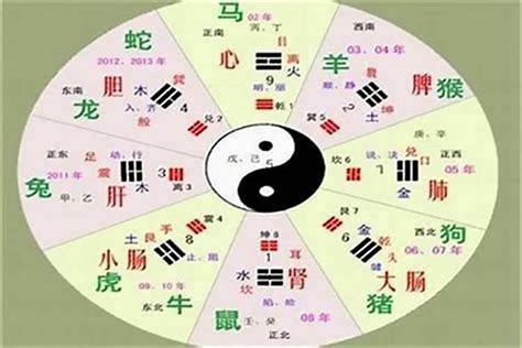 五行金 字|五行汉字属性查询